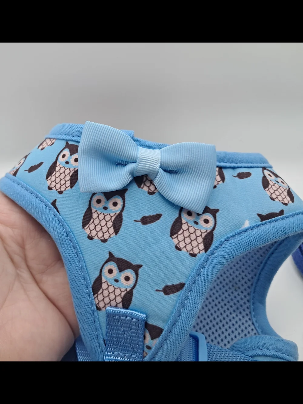 Cute Blue Owl Print Bowtie Pet Harness with 4 ft Leash Small Dog Cat 10